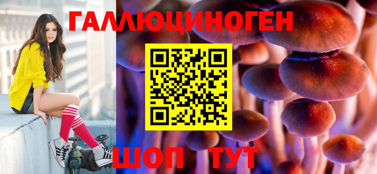 Галлюциногенные грибы мицелий  Галлюциногенные грибы прущие грибы  купить  сайты  Кунгур  Вход с VPN 